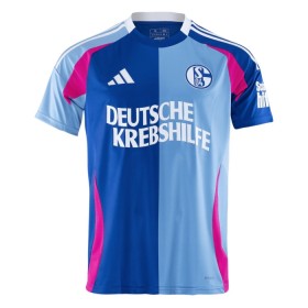 Goedkope Schalke 04 Special Shirt 2024-25